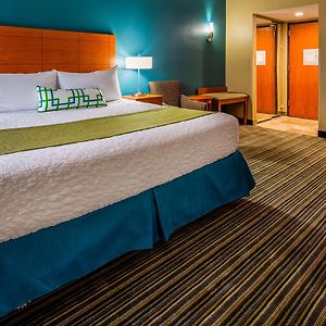 Zimmer mit Kingsize-Bett